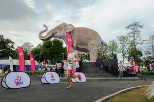 BIB: 
                            <button type="button" onclick="openModal(26528405)" class="btn btn-primary btn-sm float-right btn-popup" data-toggle="modal" data-target=".modal-high-quality">
                        <i class="fas fa-shopping-cart"></i> Add to Cart
                    </button>
                                            <button type="button" onclick="isThisMe(26528405, true)" class="btn btn-success btn-sm float-right btn-popup btn-isme hidden" data-toggle="tooltip" data-placement="bottom" title="นี่คือรูปของคุณใช่ไหม คลิกที่นี่เพื่อเอาเข้าอัลบั้ม">
                        <i class="fas fa-plus"></i> Add to album
                    </button>
                    <button type="button" onclick="isThisMe(26528405, false)" class="btn btn-warning btn-sm float-right btn-popup btn-isnotme hidden">
                        <i class="fas fa-ban"></i> Remove from album
                    </button>